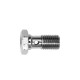 BANJO SCREW SINGLE M10X100 CHROME