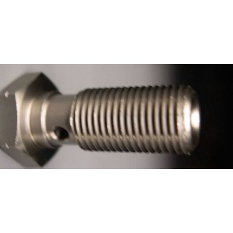 BANJO SCREW SINGLE LONG M10X100 STAINLESS STEEL