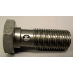 BANJO SCREW SINGLE M10X100 LONG STEEL