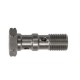 BANJO SCREW DOUBLE M10X100 STAINLESS STEEL