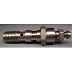 BANJO SCREW DOUBLE WITH BLEED SCREW M10X100 STAINLESS S