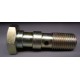 BANJO SCREW DOUBLE M10X100 LONG STEEL