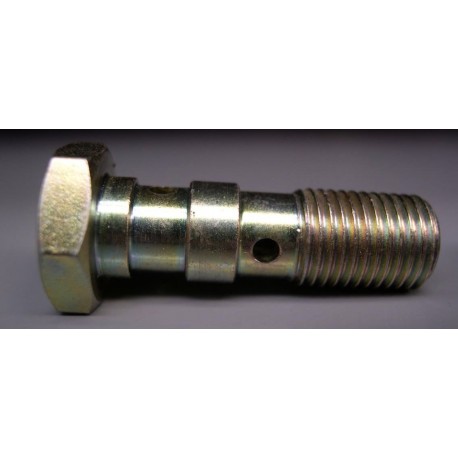 BANJO SCREW DOUBLE M10X100 LONG STEEL