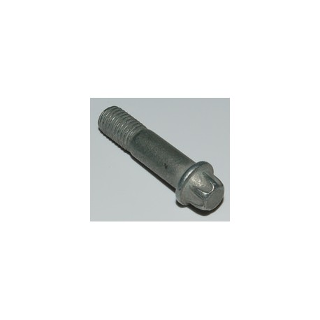 AP RACING TORX BOLT