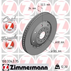 DISQUE ZIMMERMANN AUDI FORMULA Z GAUCHE  Coat Z