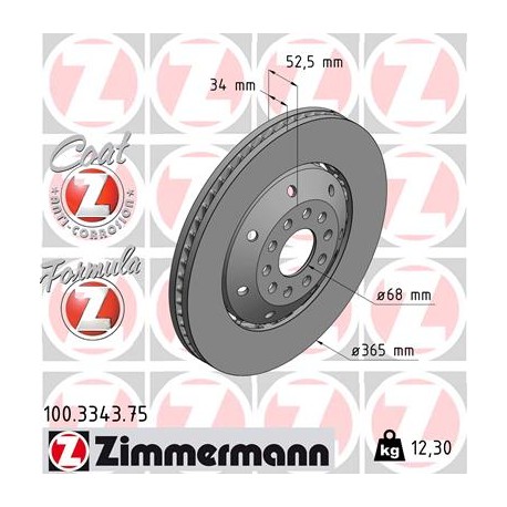 DISC ZIMMERMANN AUDI FORMULA Z LEFT  Coat Z