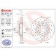 BREMBO BRAKE DISC Xtra 312x49.5mm