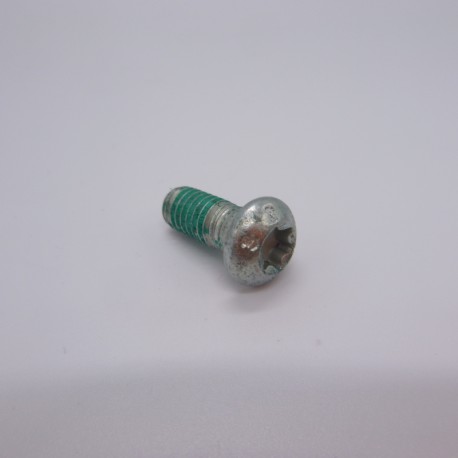 BREMBO SCREW