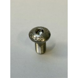 AP RACING SCREW